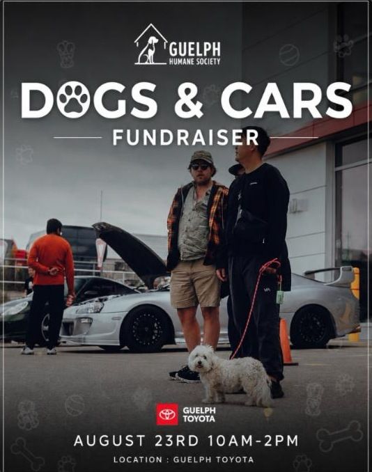 Dogs & Cars Fundraiser - Guelph Toyota